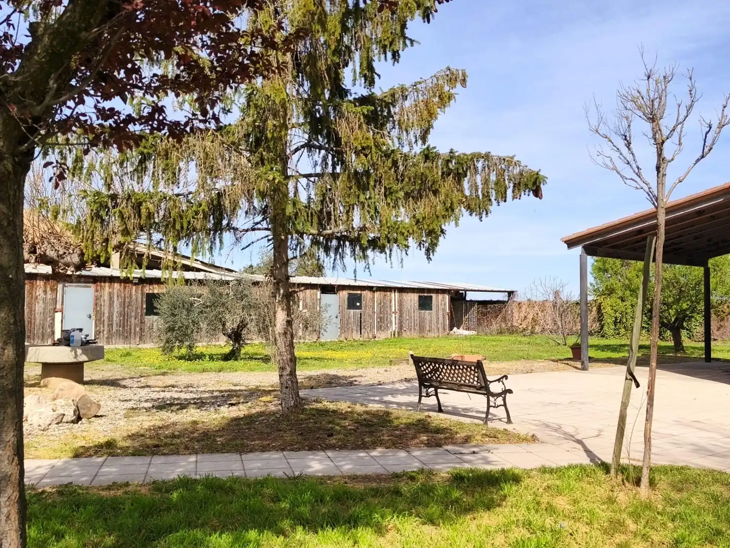 Vista exterior de Casa o chalet en venta en Bell-lloc d'Urgell con Calefacción, Jardín privado y Terraza