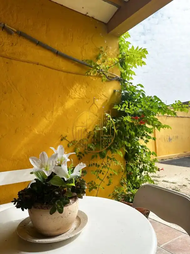 Jardín de Casa o chalet en venta en Santacara con Jardín privado y Terraza
