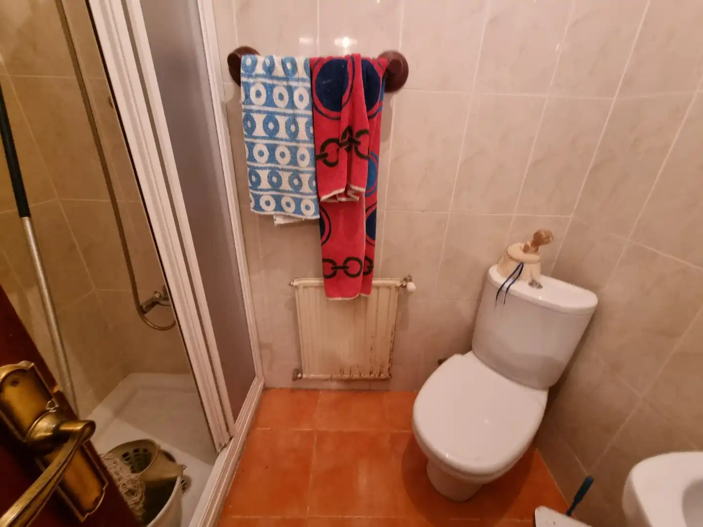 Bany de Casa adosada en venda en Burgos amb Jardí privat