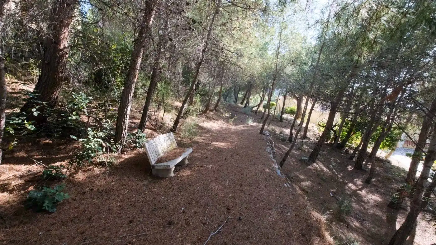 Jardín de Casa o chalet en venta en Altea la Vella