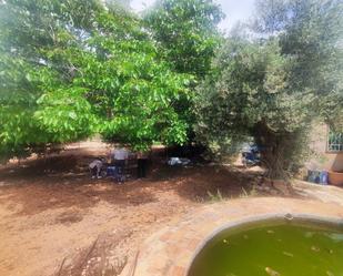 Finca rústica en venda en Benicarló amb Piscina