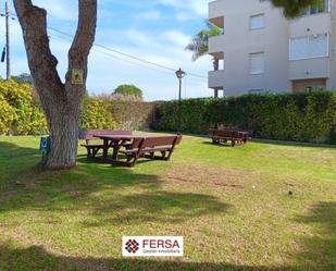 Garden of Flat to rent in El Puerto de Santa María  with Private garden, Parquet flooring and Terrace