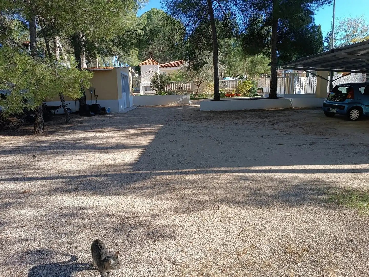 Maison à vendre à Yecla, imagen 14