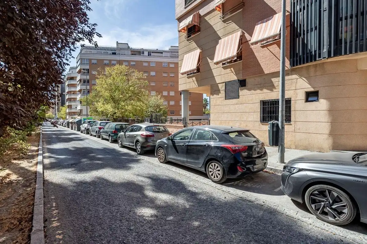 Ground floor with pool for sale in Calle PDTA RAFAEL GAGO PALOMO 9, imagen 30