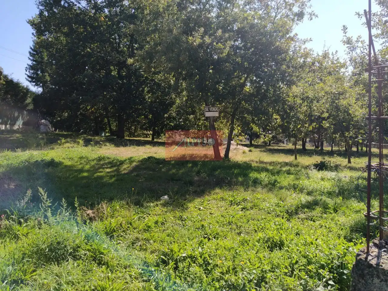 Terreni e lotti in vendita a O Pereiro de Aguiar, imagen 4