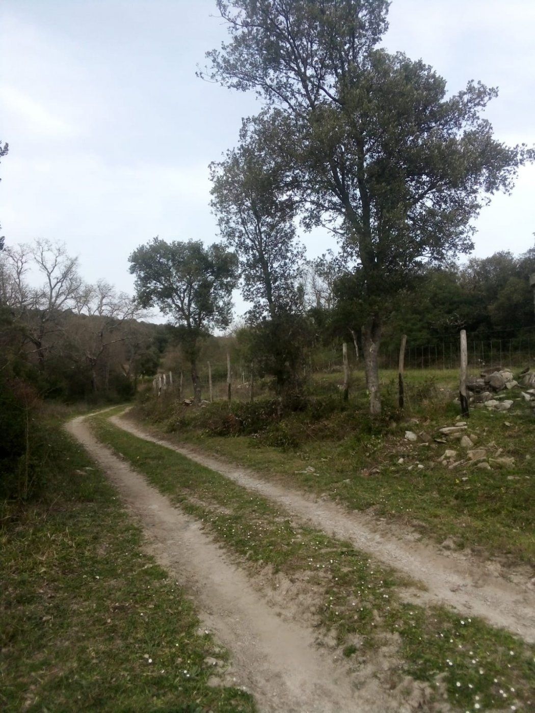 Finca rústica en venda en Valle de Mena