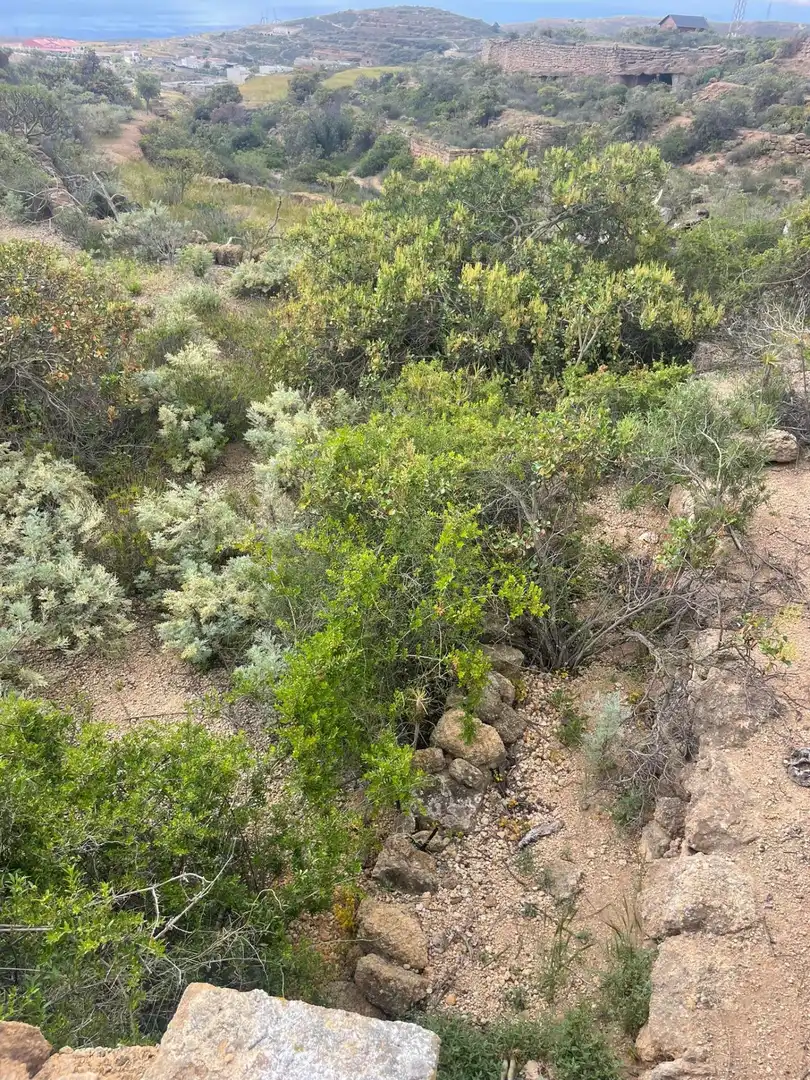 Terreno rustico in vendita a Arico, imagen 12