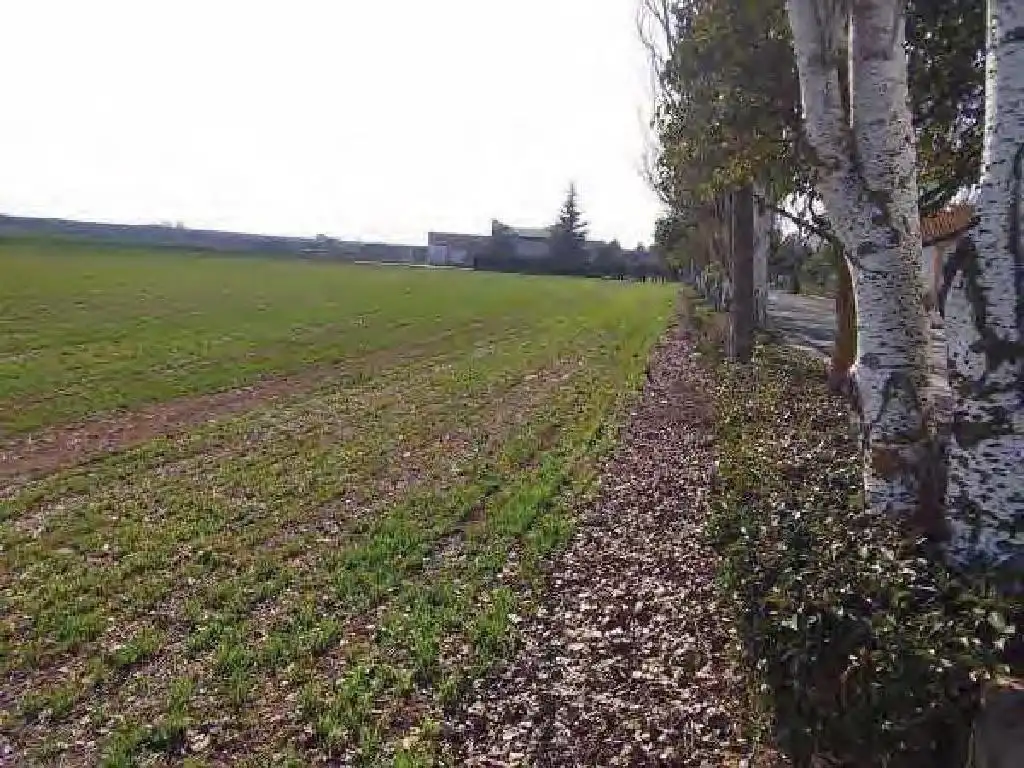 Terreno rústico en venta en Daimiel, imagen 5