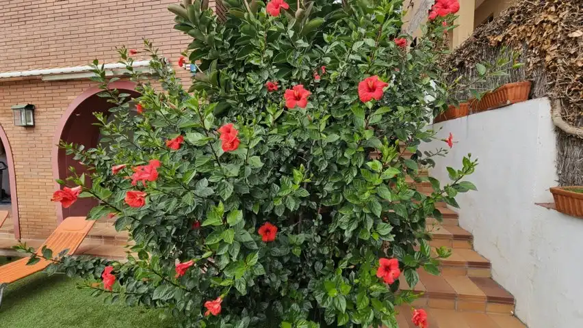 Jardí de Casa o xalet en venda en Barcelona amb Aire condicionat, Calefacció i Jardí privat