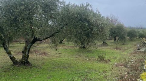 Finca en venta en Sotillo de la Adrada, imagen 2