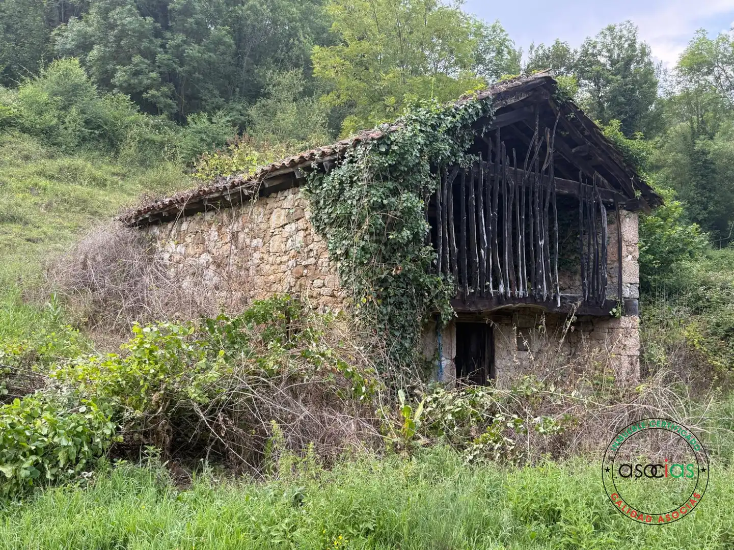 Exterior view of Land for sale in Quirós