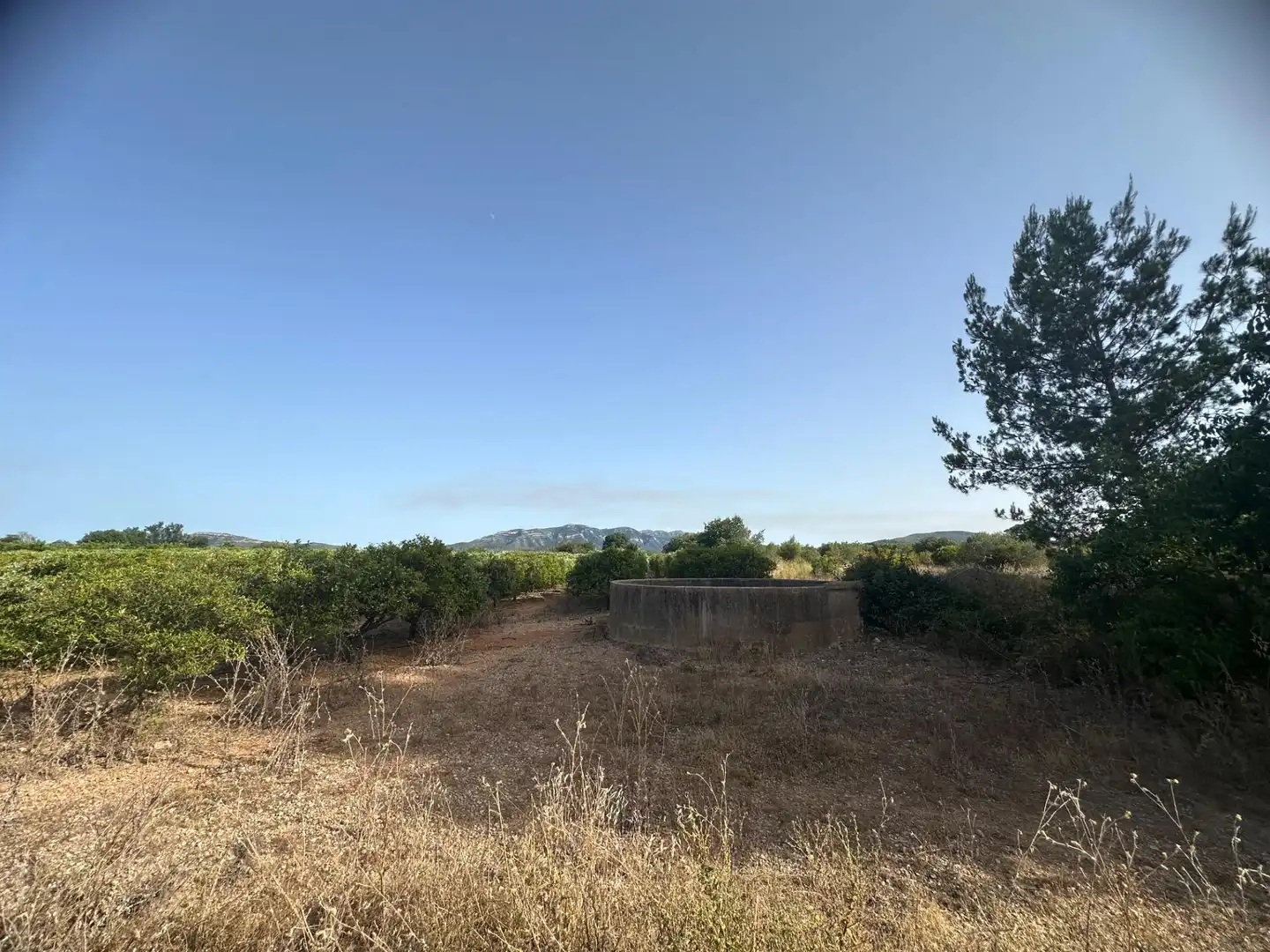 Rural land for sale in Masdenverge, imagen 11