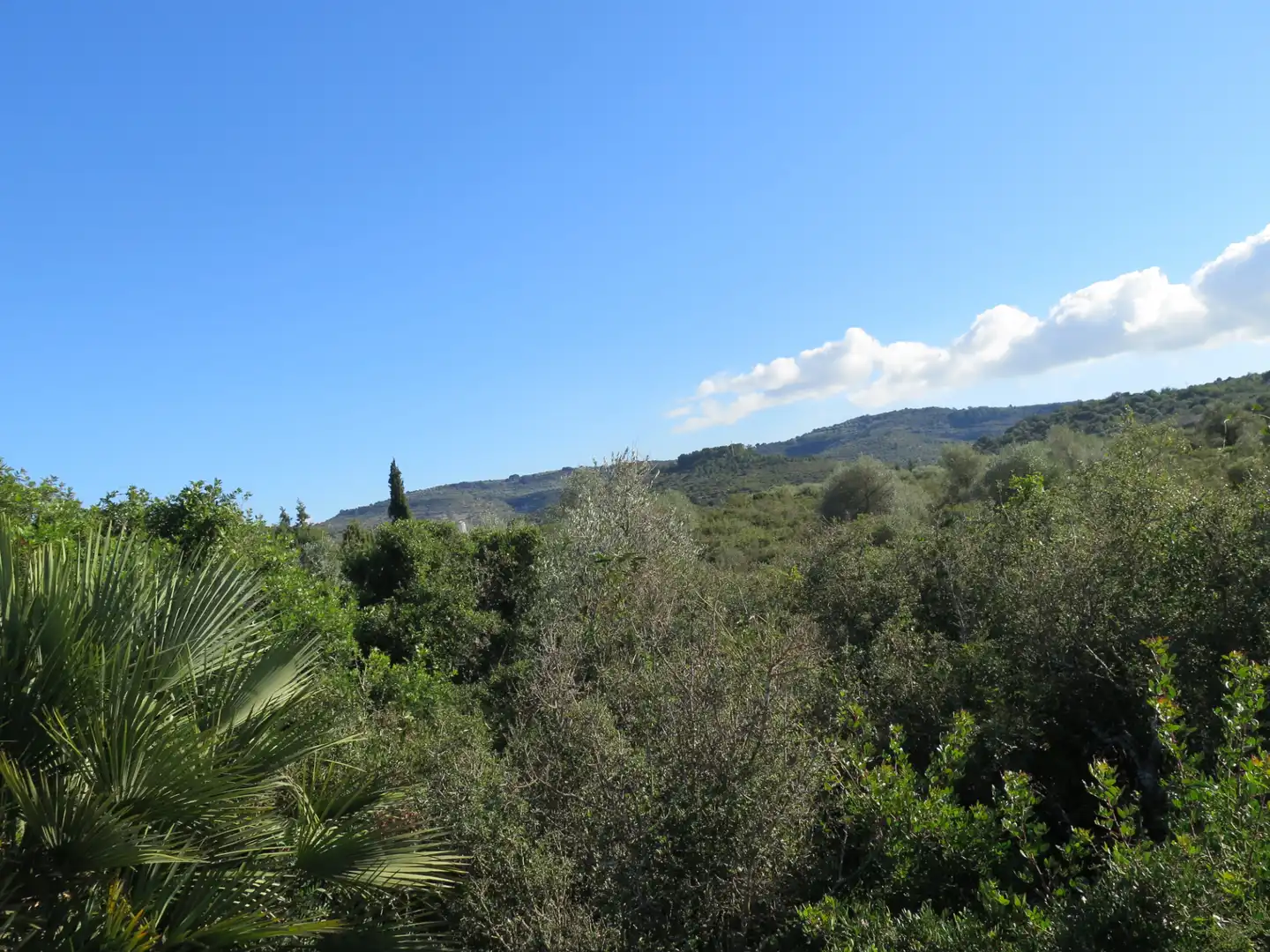 Rural land for sale in Godall, imagen 5