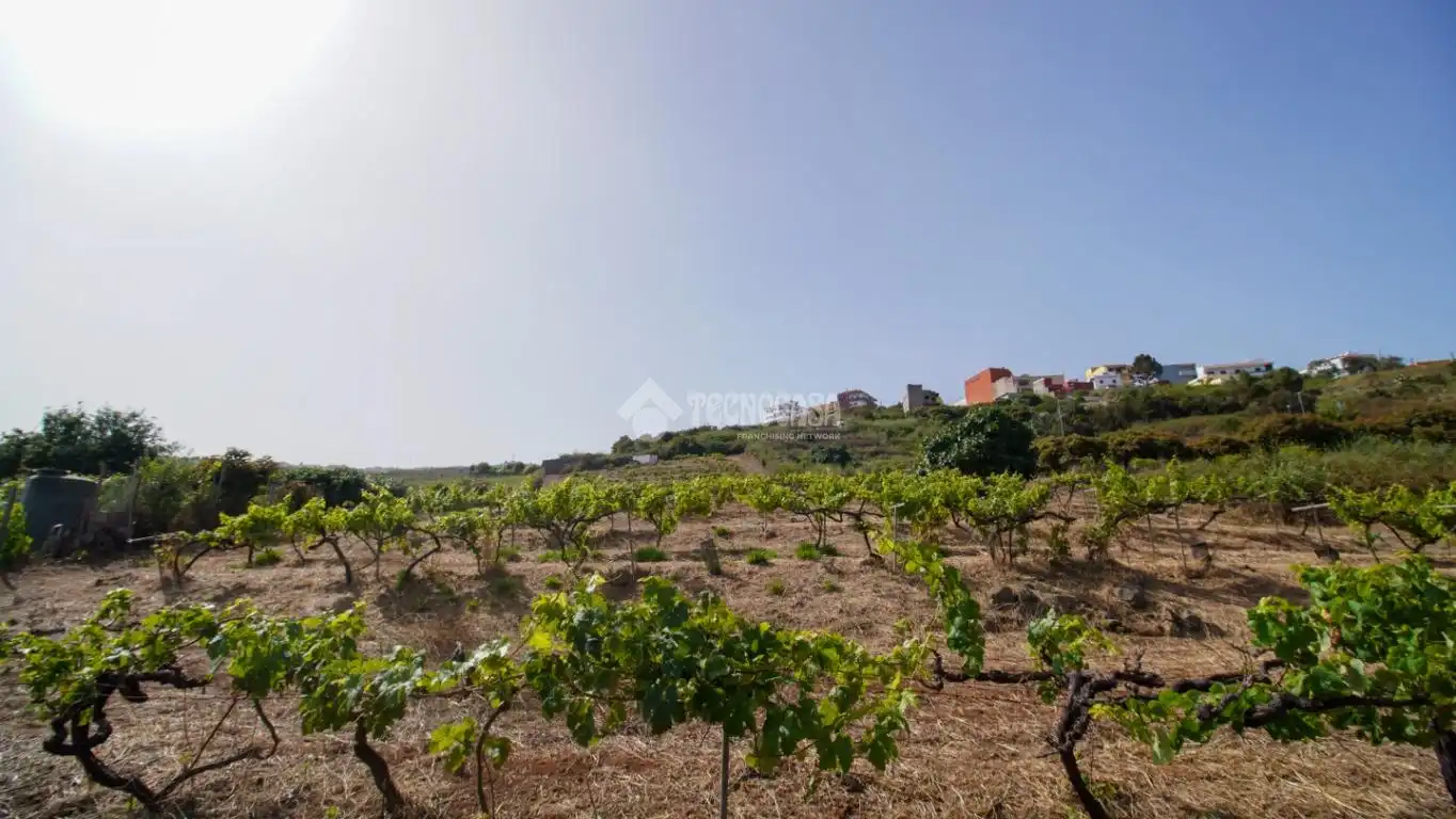 Finca rústica en venta en El Sauzal
