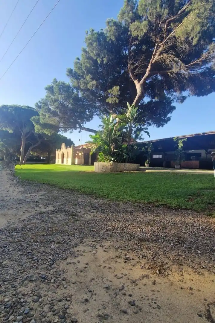 Exterior view of Houses for sale in Puerto Real