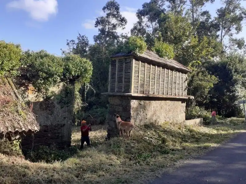 Vista exterior de Finca rústica en venta en Cedeira con Jardín privado