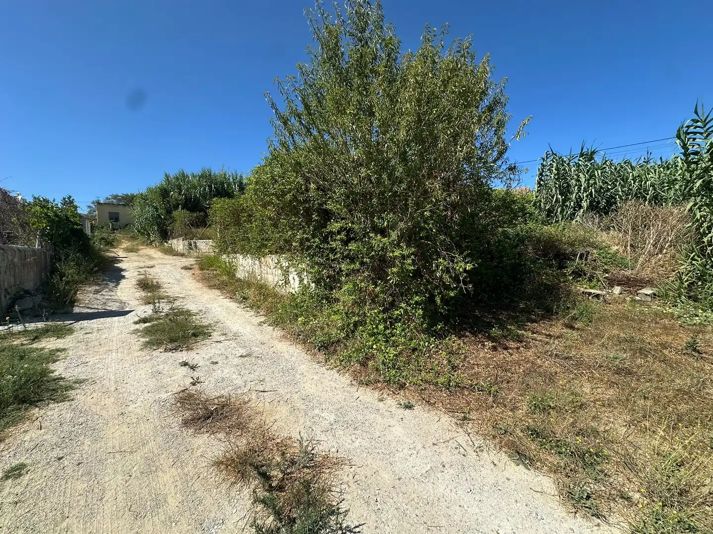Rustikales Grundstück zum Verkauf in Los Franceses – La Vega, imagen 3