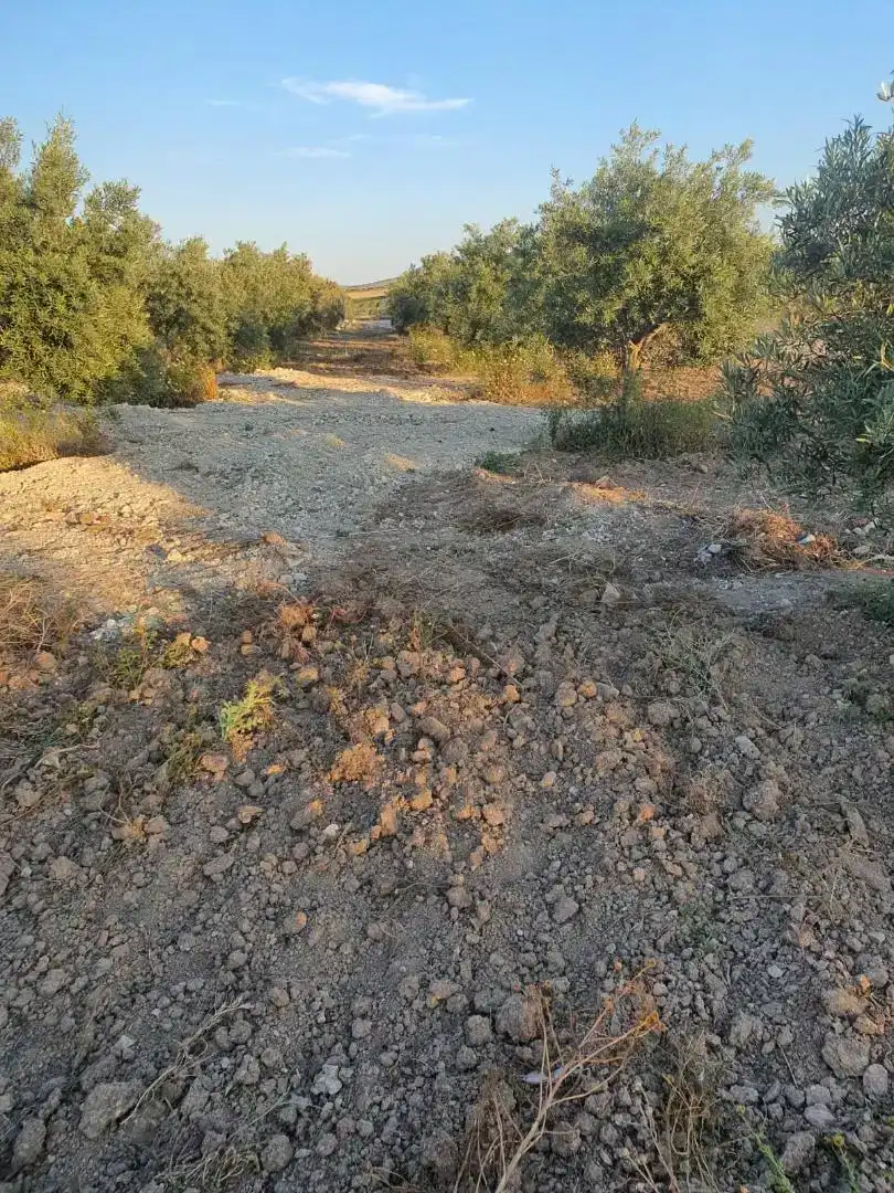 Terreno en venta en Osuna
