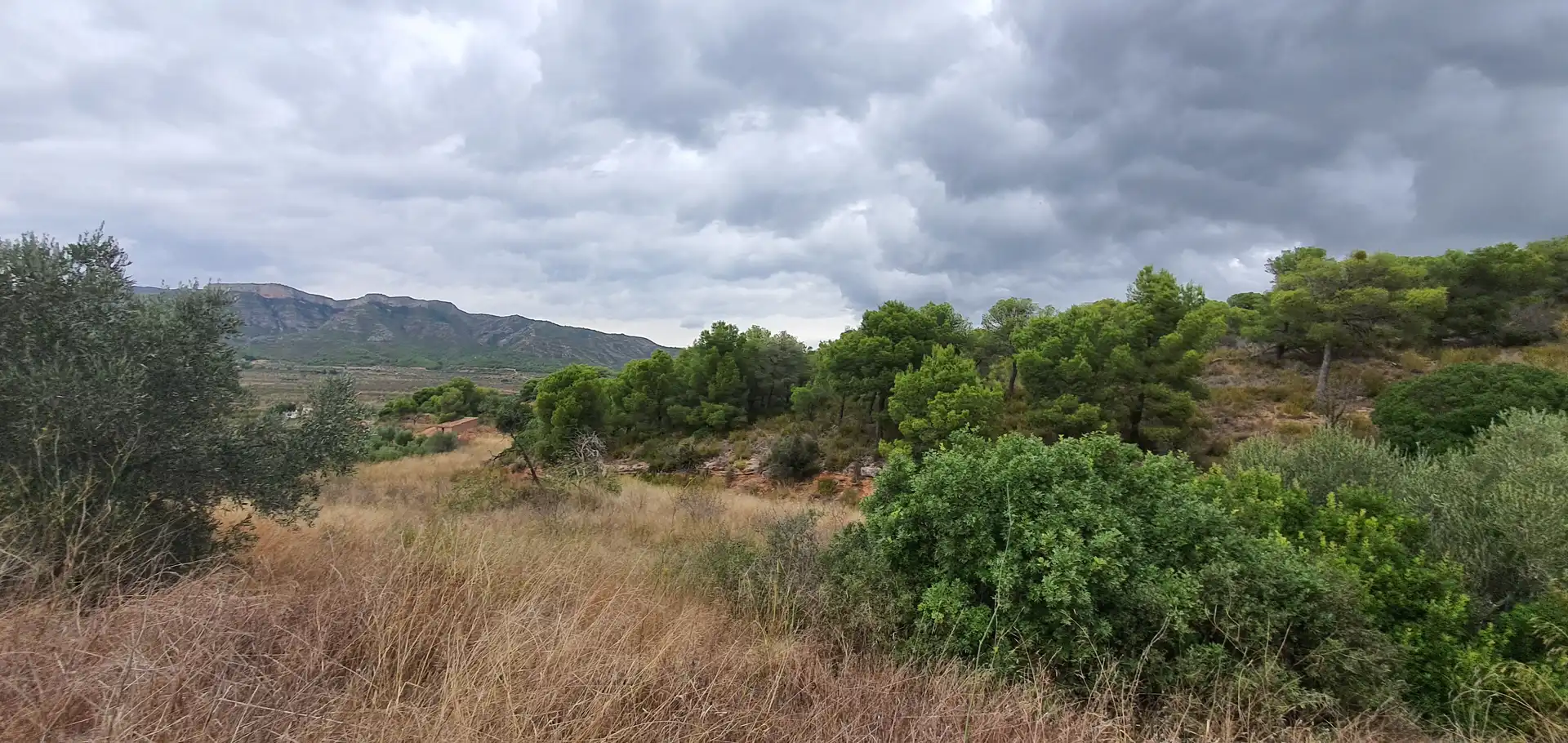 Rustikales Grundstück zum Verkauf in El Pinell de Brai, imagen 9