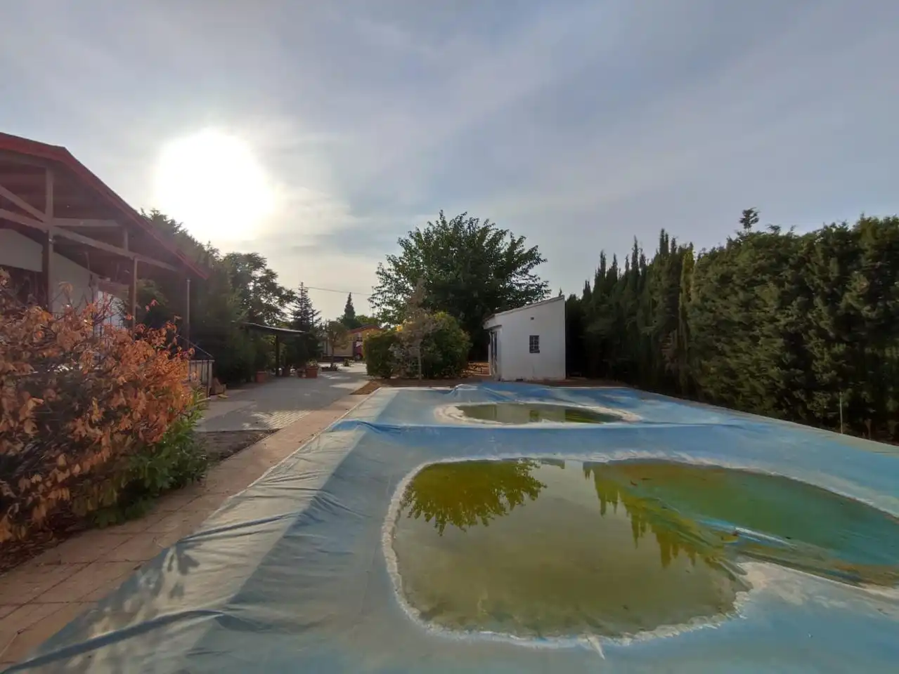 Piscina de Casa o chalet en venta en Albacete con Terraza y Piscina