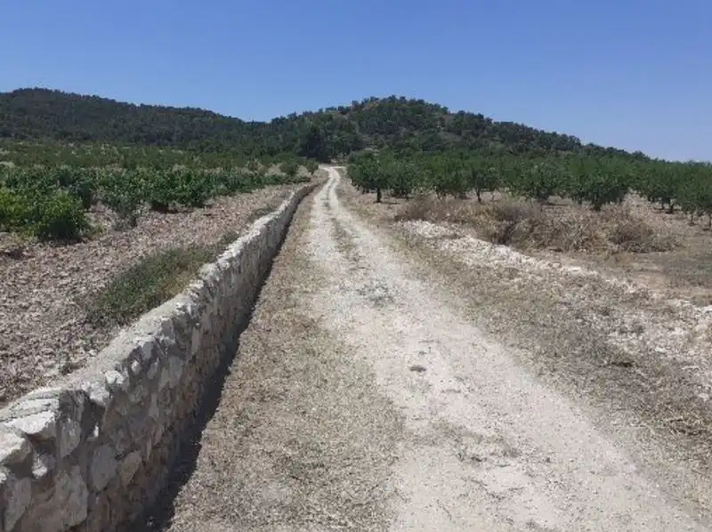 Terrenys i solars en venda a Abanilla, imagen 6