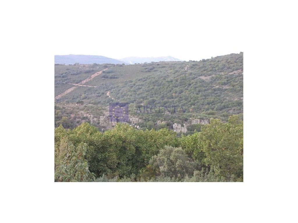 Finca rústica en venda en Plasencia