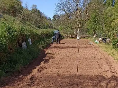 Terreno rustico in vendita a Paraje Huertas 10, imagen 8