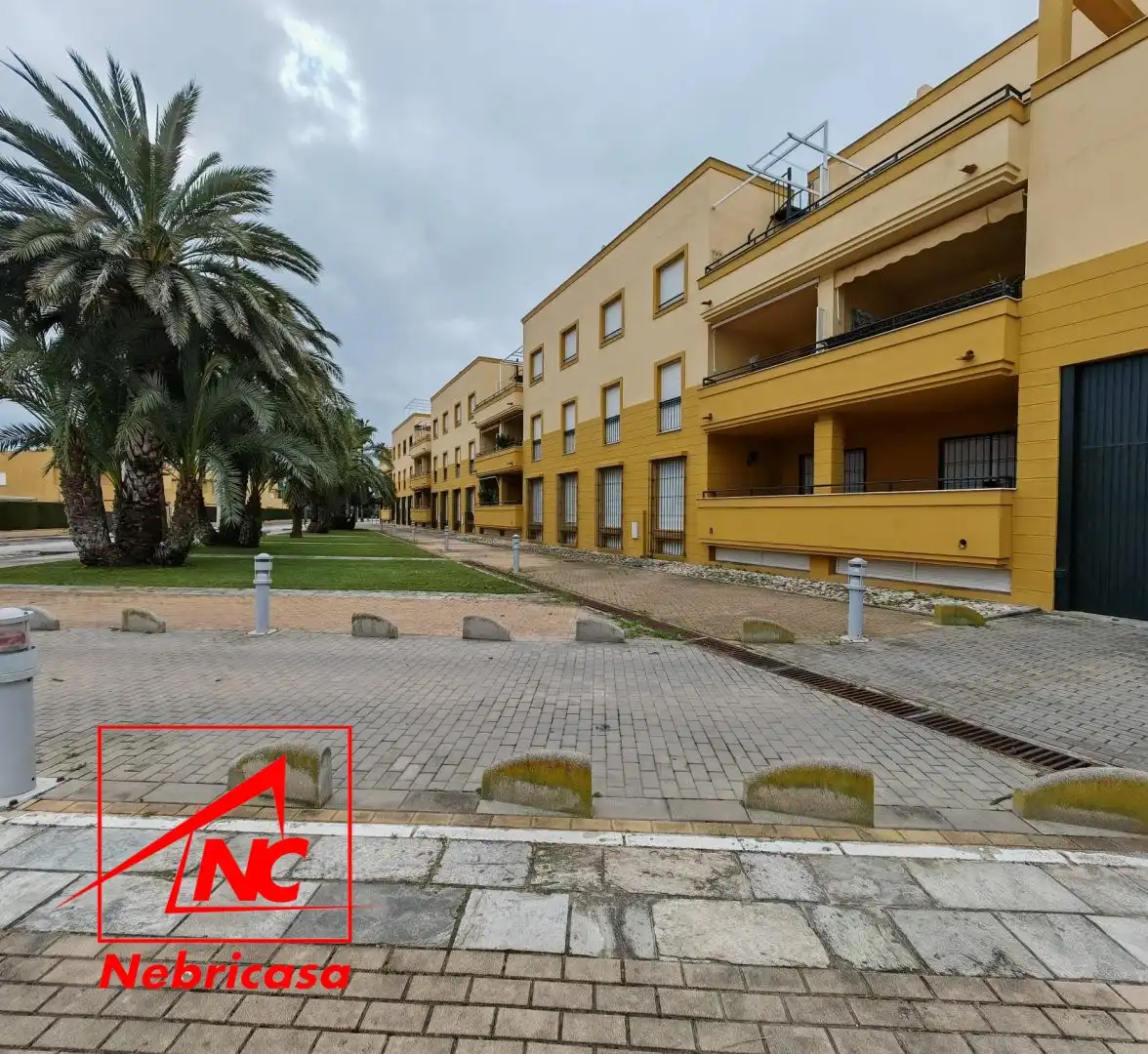 Exterior view of Flat for rent in Rota  with Terrace, Swimming Pool and Furnished