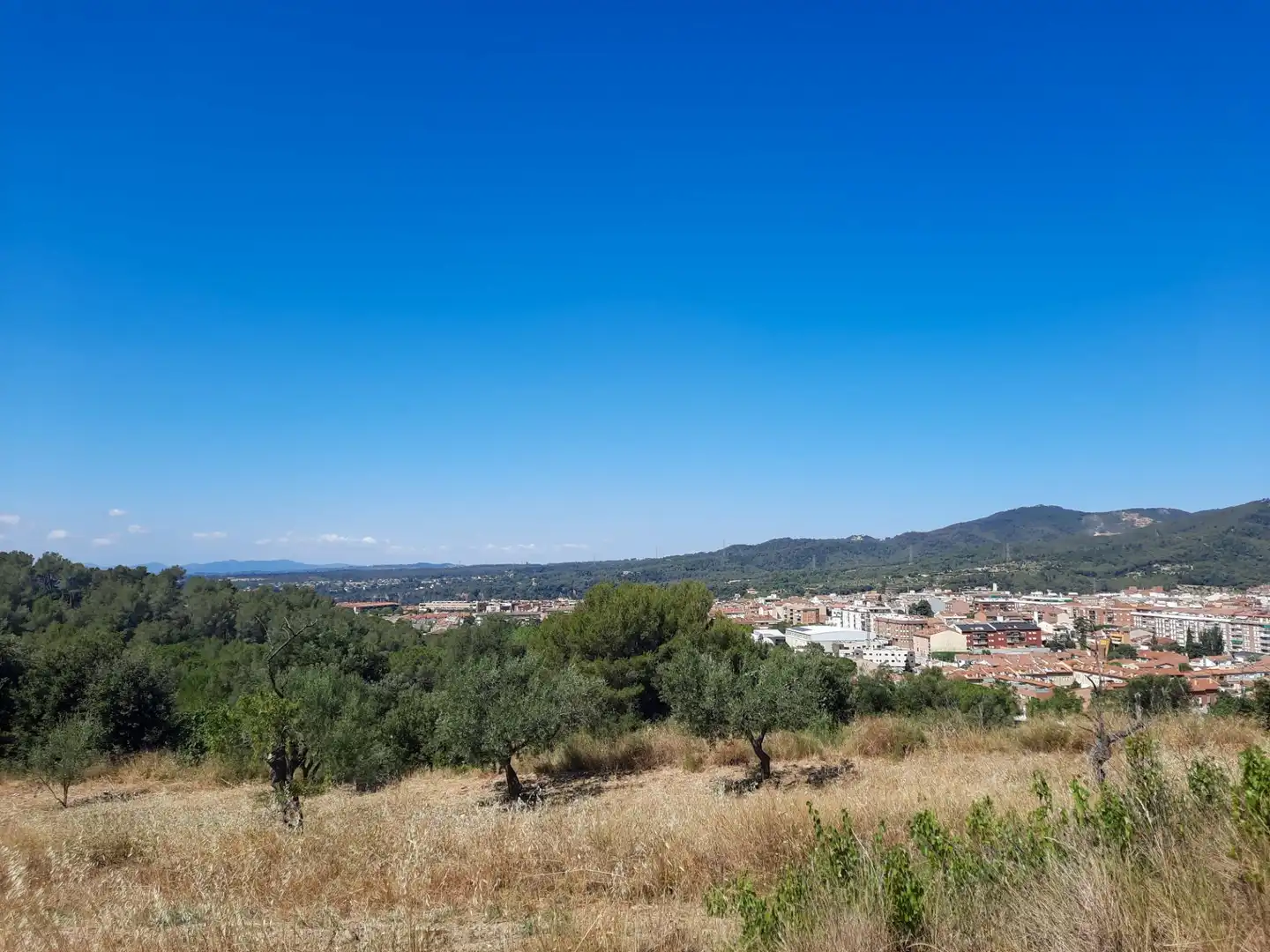 Terreno residencial en venta en Carrer Carrer del Cirerer 13, imagen 6