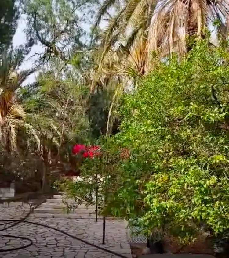 Garden of Country homes for sale in Partaloa