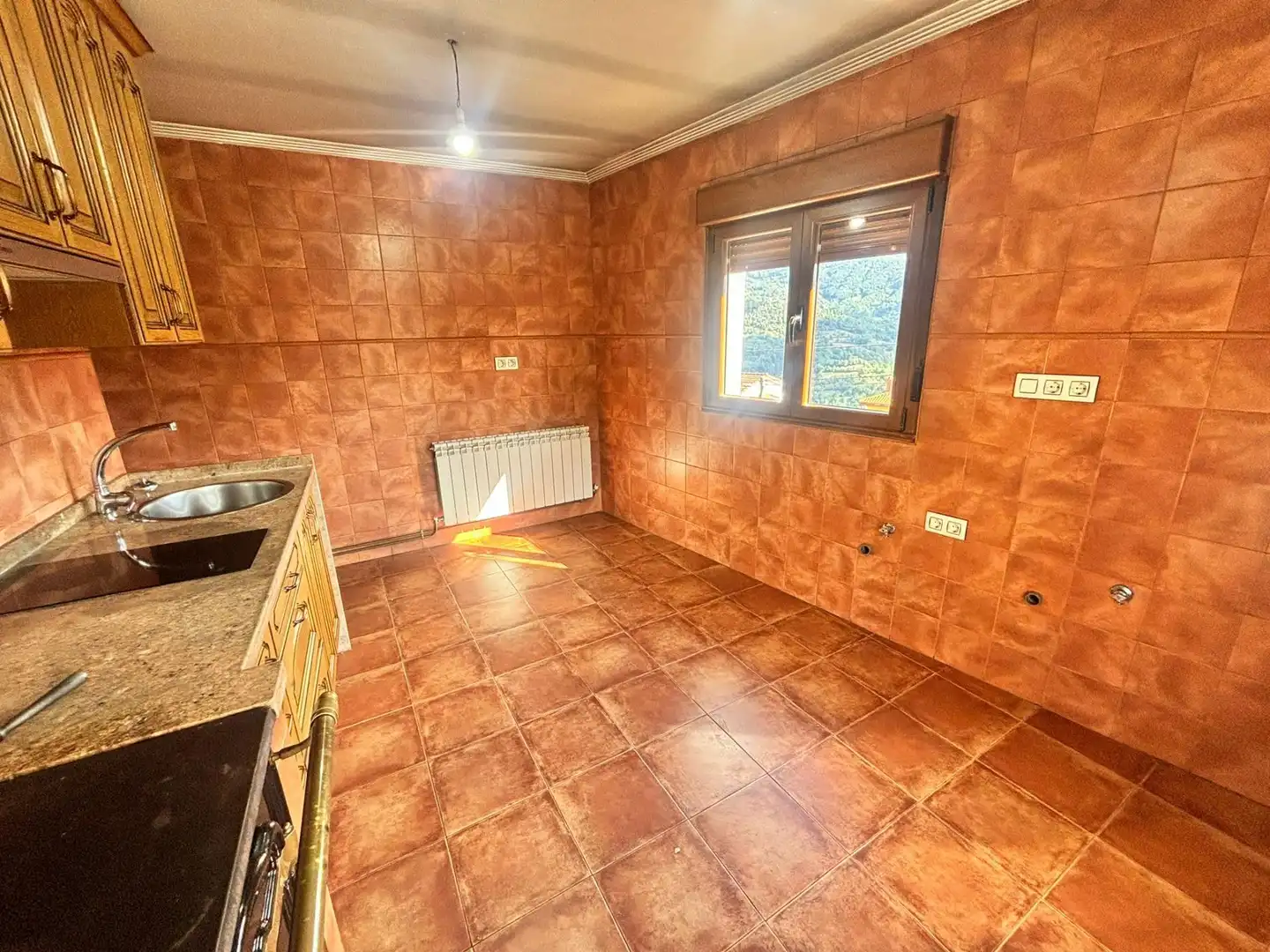 Cocina de Casa o chalet en venta en Quirós con Jardín privado, Parquet y Terraza