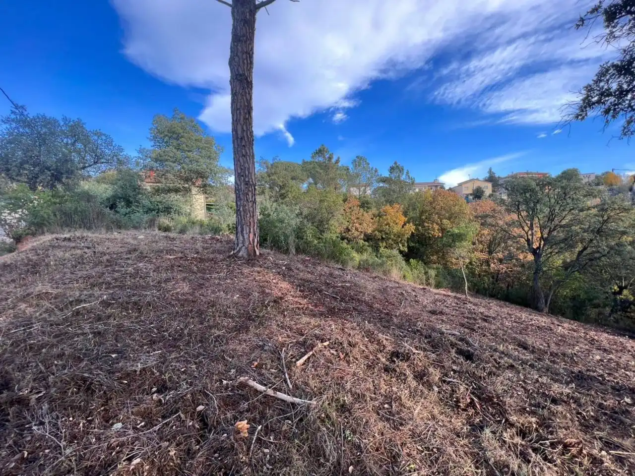 Terreno rustico in vendita a Calle Riells I Viabrea, imagen 5