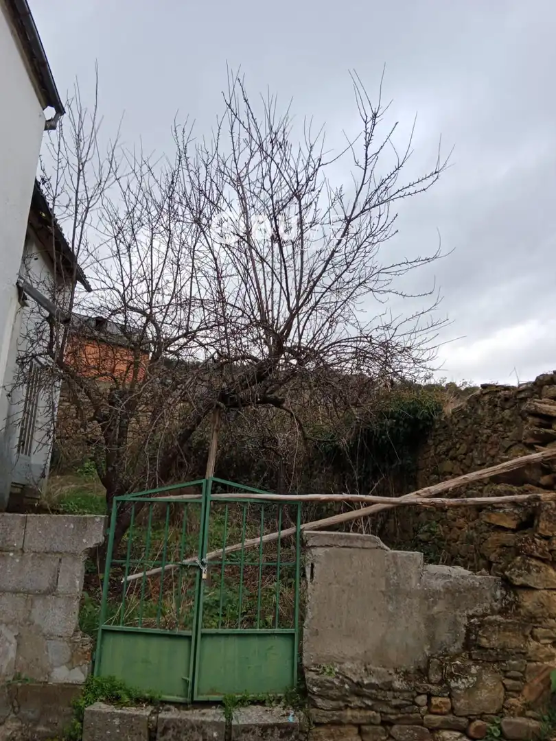 Houses for sale in Bembibre  with Heating, Storage room and Furnished
