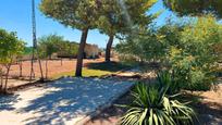 Jardí de Casa o xalet en venda en  Albacete Capital amb Aire condicionat, Calefacció i Jardí privat