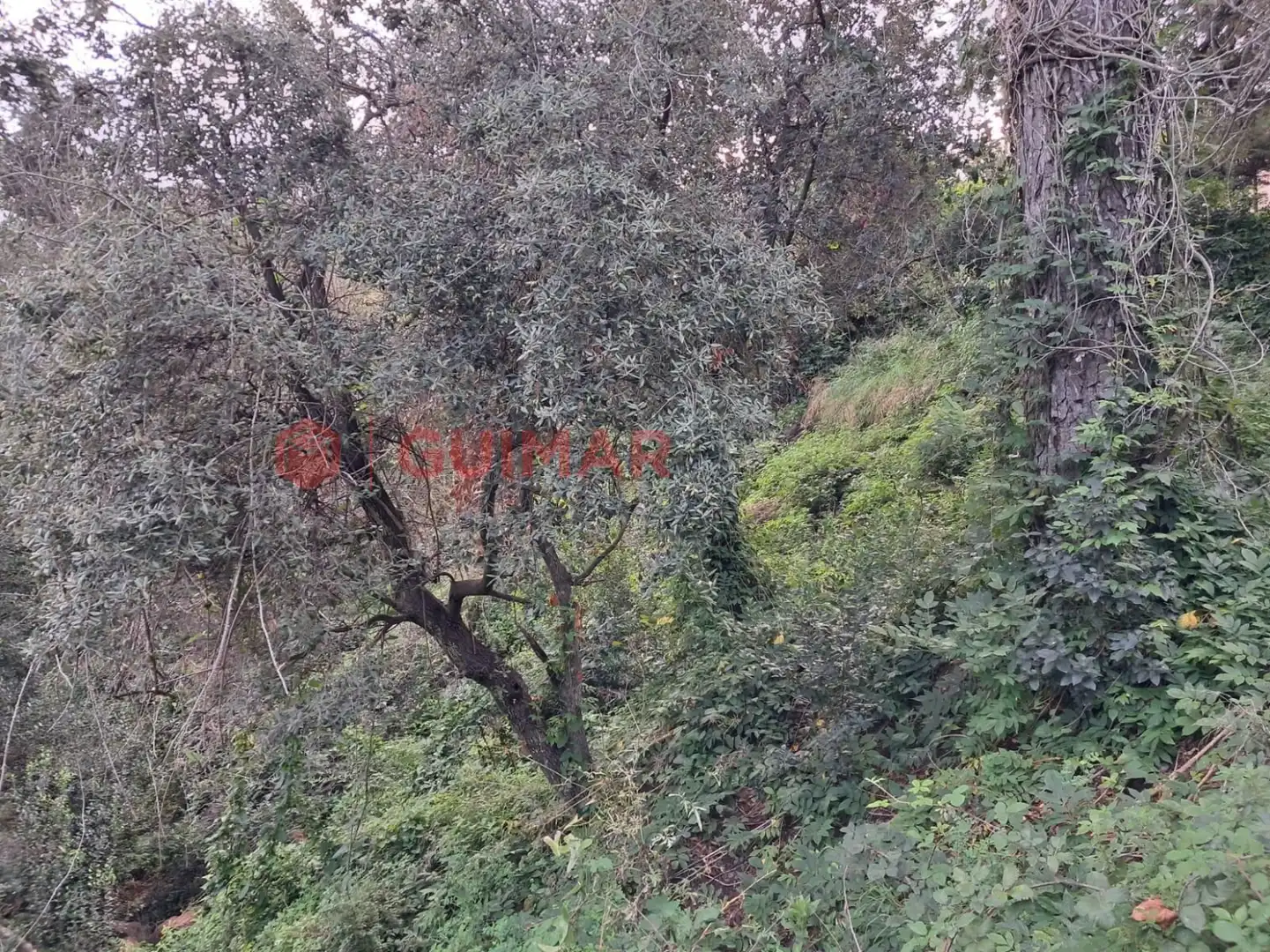 Terreno residencial en venta en Torrelles de Llobregat - Calle VINT-I-U, imagen 15
