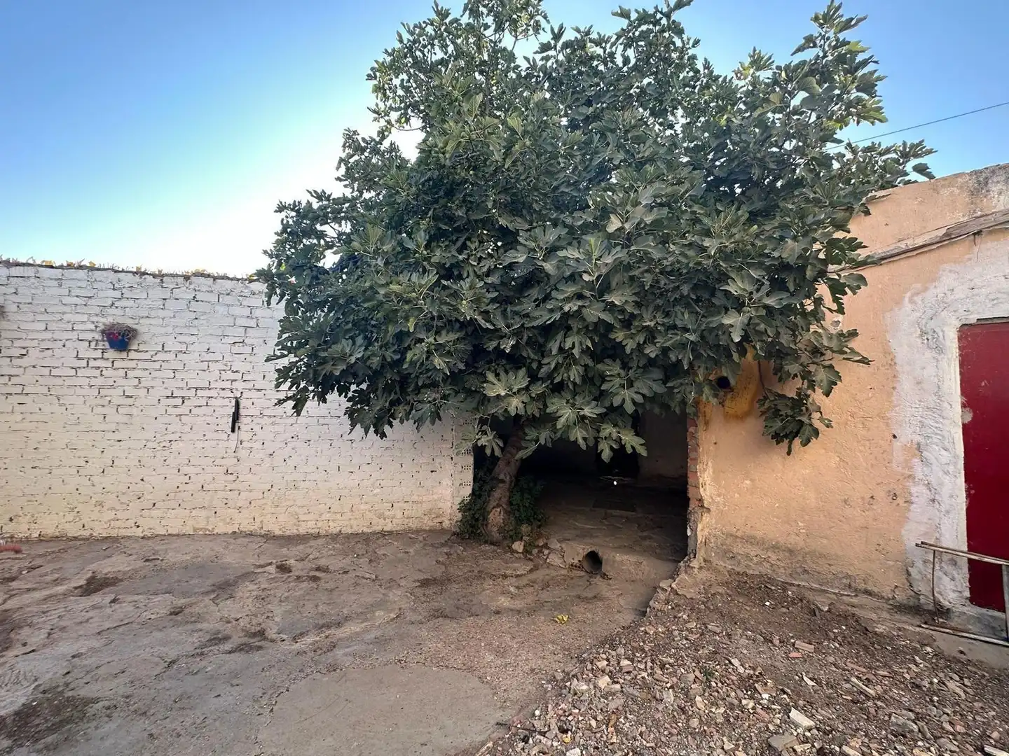 Rustikales Grundstück zum Verkauf in Los Palacios y Villafranca, imagen 10
