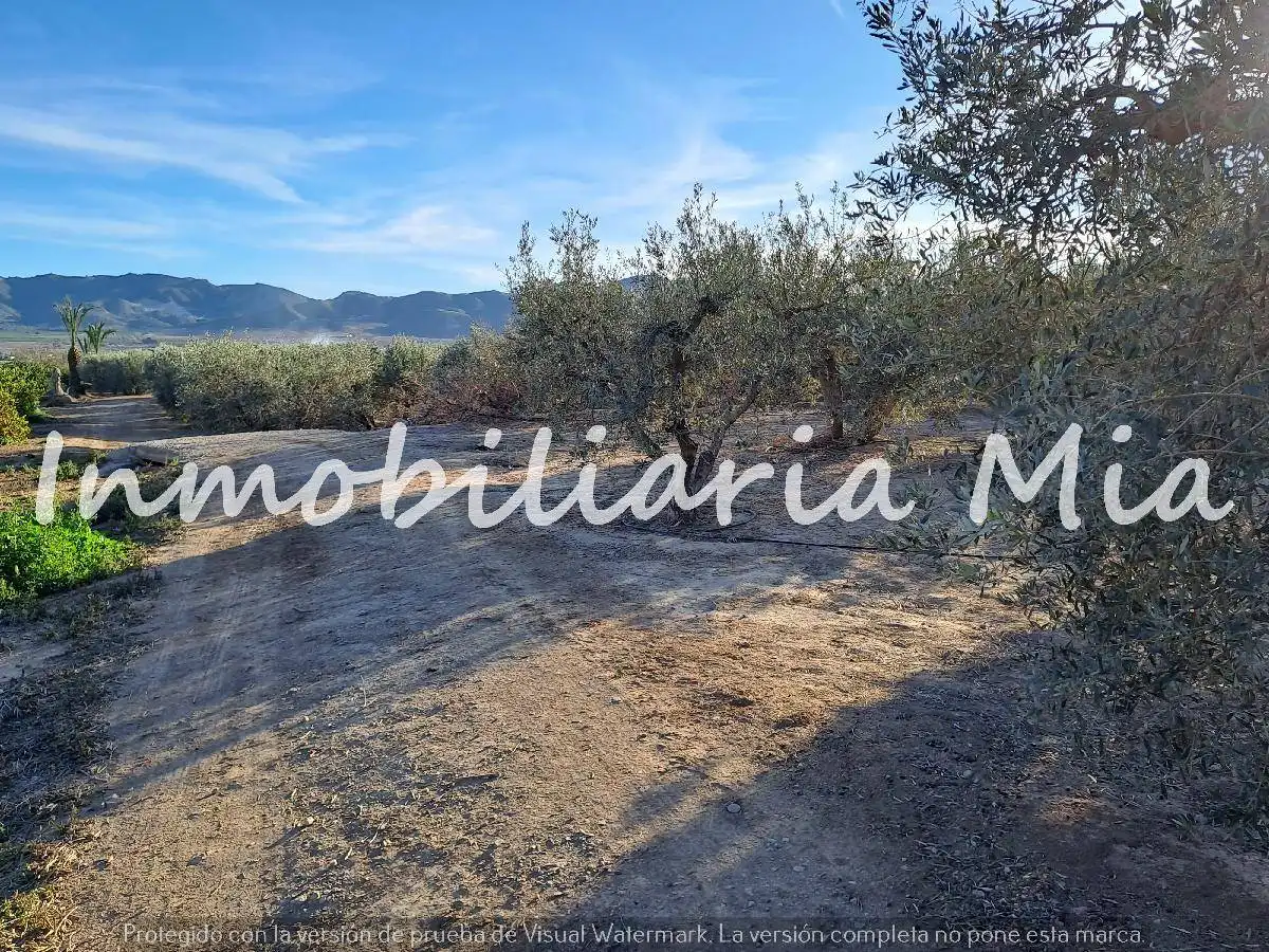 House for sale in Huércal-Overa, imagen 3