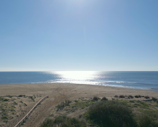 Vista exterior de Casa o xalet en venda en Ayamonte amb Jardí privat i Terrassa