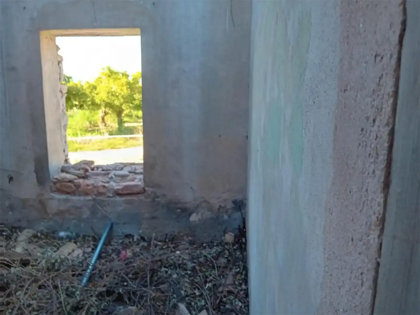 Vista exterior de Finca rústica en venta en Cariñena - Carinyena