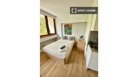 Photo 2 of Study to share in Bellas Vistas, Madrid