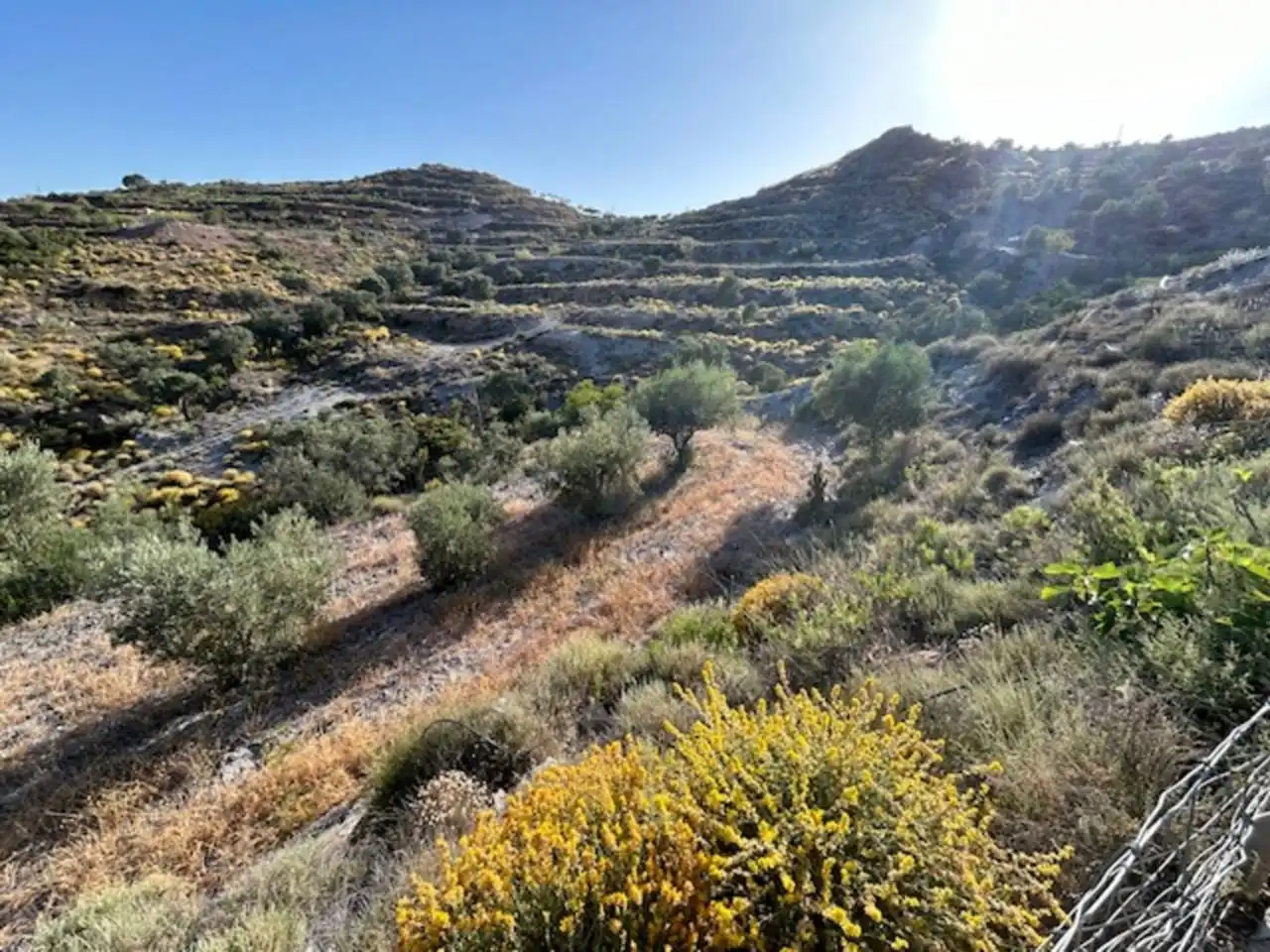 Finca rústica en venda en Felix amb Jardí privat, Terrassa i Moblat