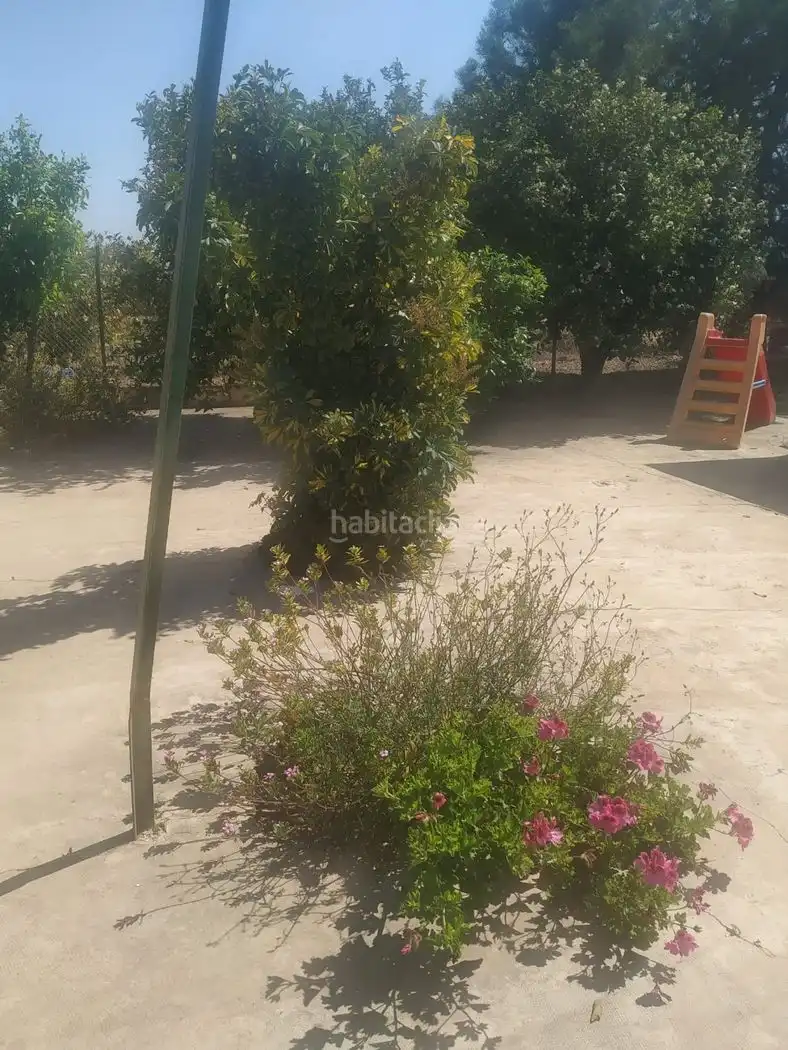 Rustikales Grundstück zum Verkauf in Camino de los Corrales 64, imagen 20
