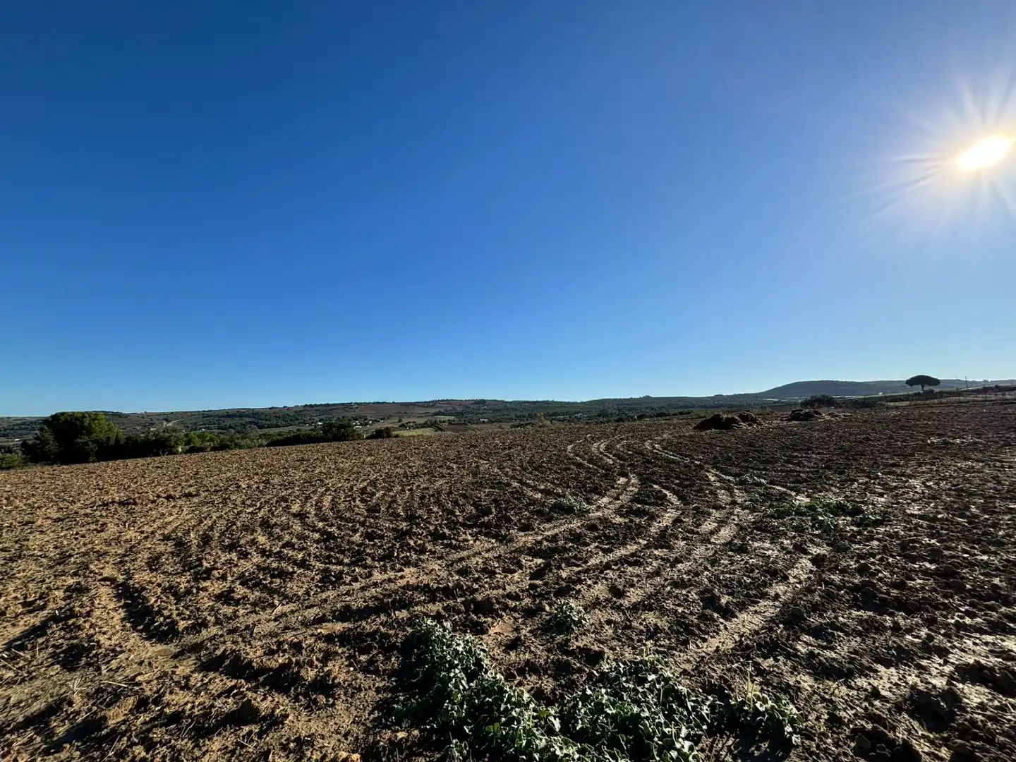 Terreny en venda en Arcos de la Frontera