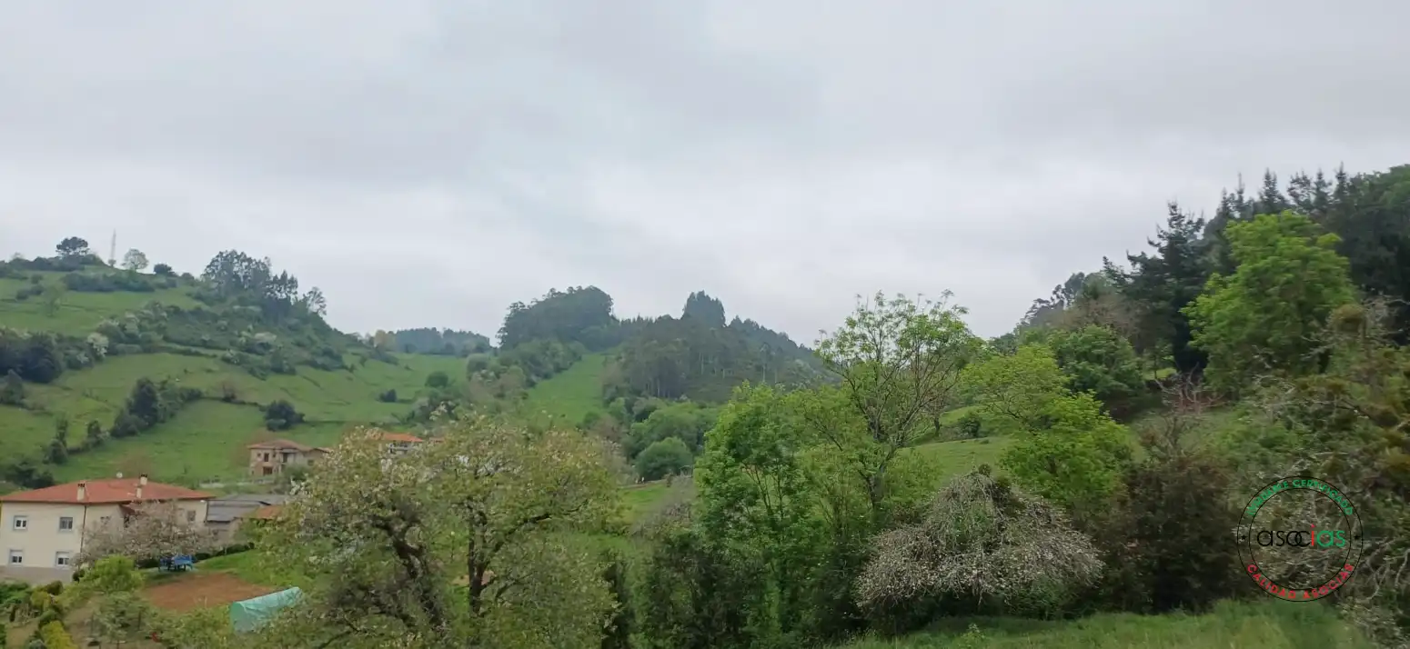 Residential zum Verkauf in Salas
