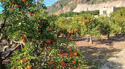 Photo 3 of Land for sale in Calle Sector Tres, 32, L'Atzúbia, Alicante