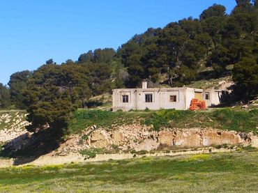 Terreni e lotti in vendita a Lorca Ciudad