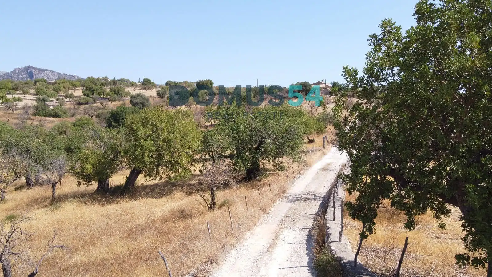 Land for sale in Selva