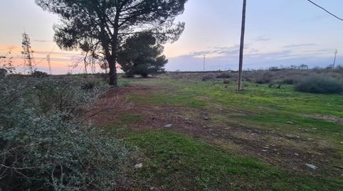 Foto 2 de Residencial en venda a B Cerdera Alta, 5, -1, La Cerdera, Lleida Capital