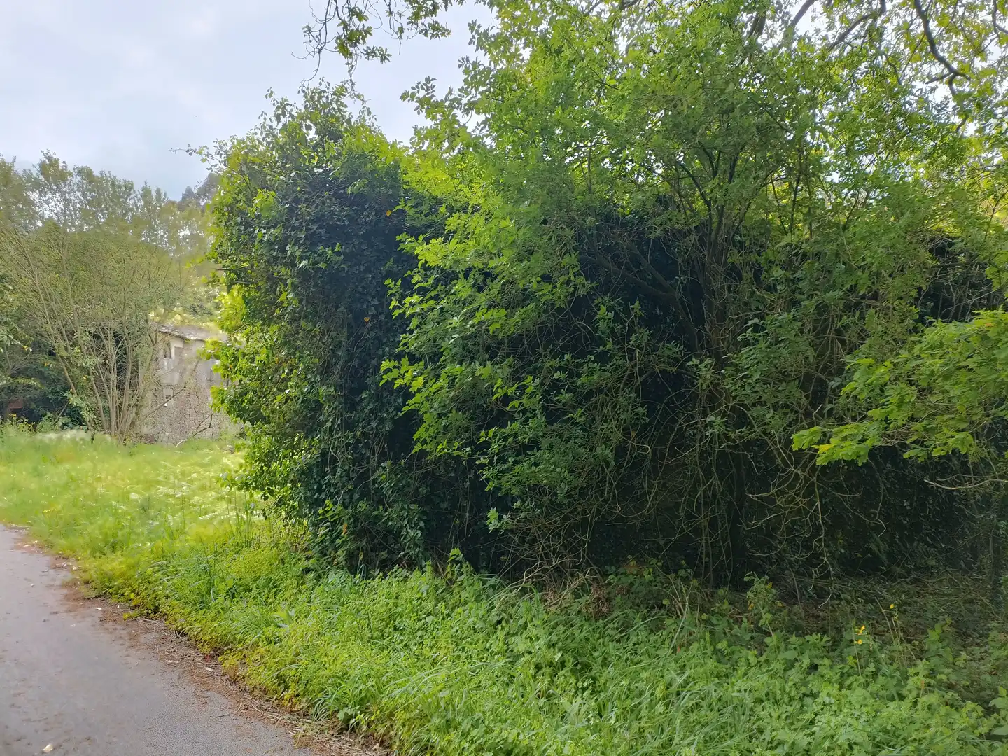 Casa o xalet en venda en Aranga amb Jardí privat i Traster