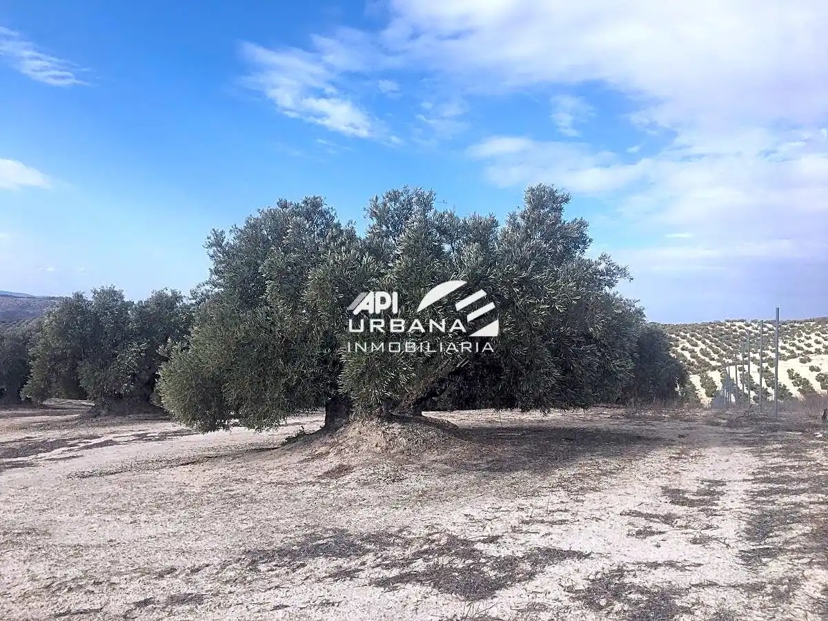 Terrenys i solars en venda a Partido Castillo Anzur Y Barranquillos, imagen 7